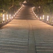 photo 2024 08 21 12 21 38 3